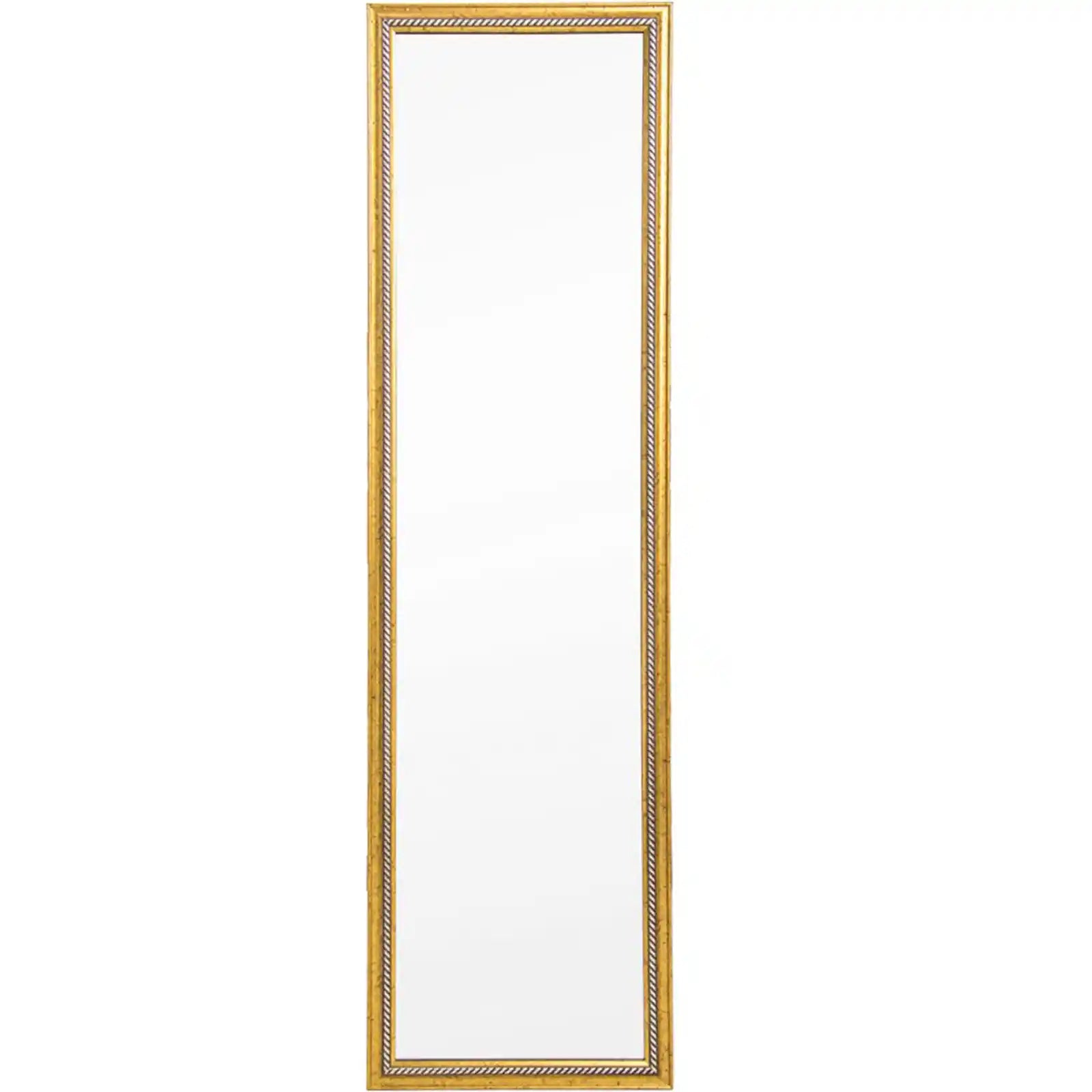 Full Length Mirror Door