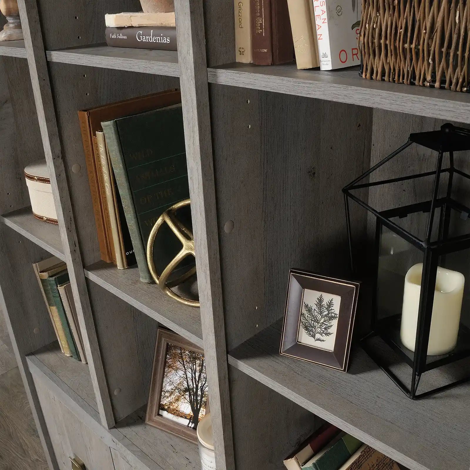 Wood Storage Bookcase Wall